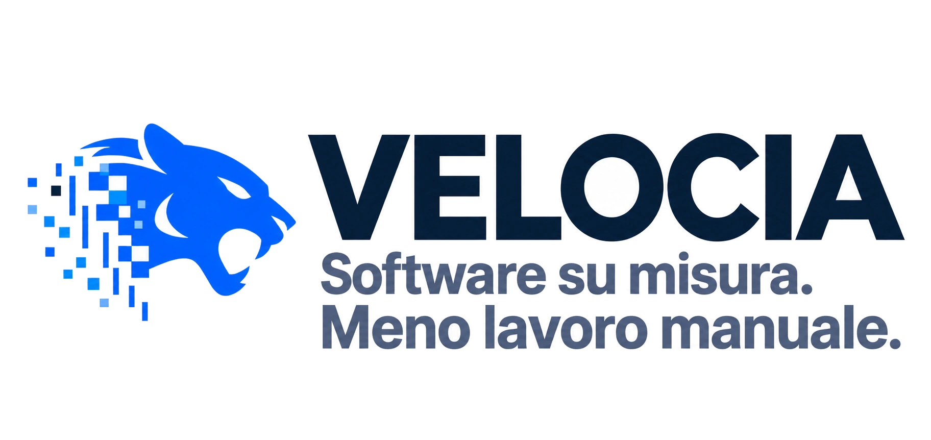 VELOCIA, software su misura, meno lavoro manuale